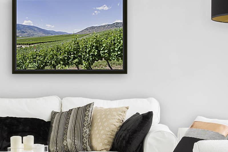 Okanagan Valley wine country 2 by Bob Corson