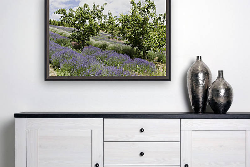 Lavender plants and fruit trees 5 by Bob Corson
