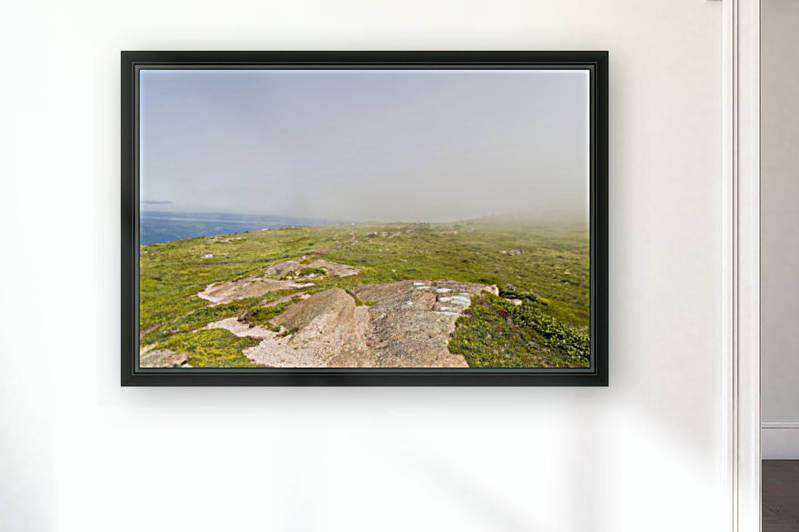 View from Cape Spear Walking trails 12 by Bob Corson