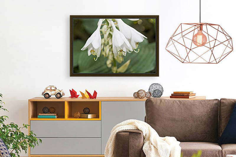Hosta Flower Cluster 2 by Bob Corson