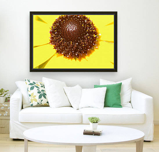 Brown eyed Susan Macro by Bob Corson