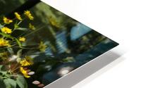 Mock Sunflower HD Metal print