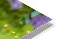 Purple Lilac HD Metal print