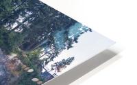 Stanley Park Trail HD Metal print