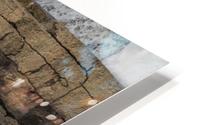 Almonte Spring 15 HD Metal print