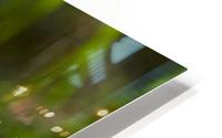 Arctic Grass 3 HD Metal print