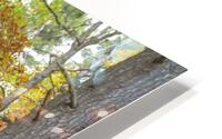 Eagle Nest Trail 5 HD Metal print