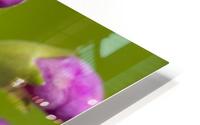 False Dragonhead 6 HD Metal print