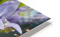 Veronica Plant 3 HD Metal print