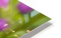 False Dragonhead 5 HD Metal print