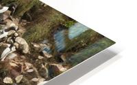 Murre colony 5 HD Metal print