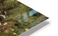 Murre colony 4 HD Metal print