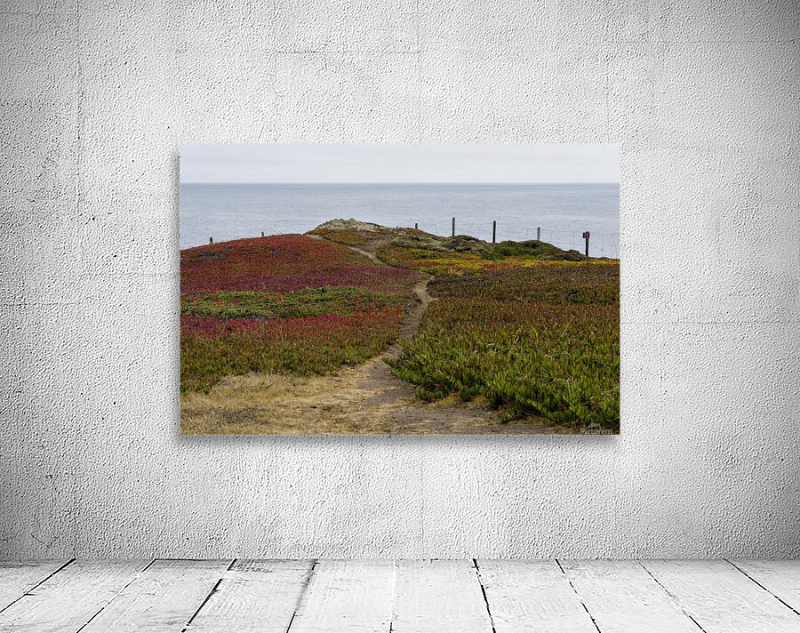 Bodega Bay 7 Wall Preview