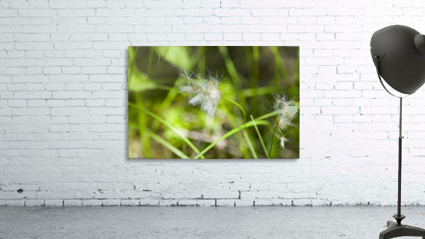 Arctic Grass 3 Wall Preview