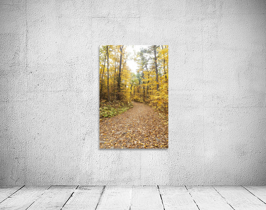 Eagle Nest Trail Wall Preview