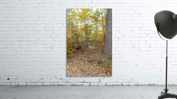 Eagle Nest Trail 5 Wall Preview
