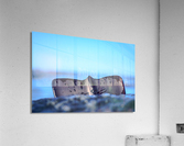 Fin Acrylic Print