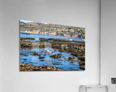 Egret Tidepool Acrylic Print
