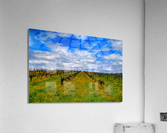 Flowery Vineyard Acrylic Print