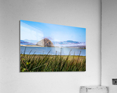 Grassy Rock Acrylic Print