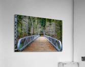 Ghost Bridge Acrylic Print