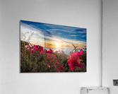Boug Sunset4 Acrylic Print