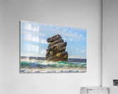Bird Rock Acrylic Print