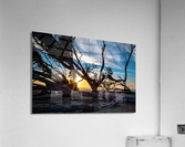 A Break in the wind Acrylic Print