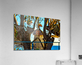 Beach Windmill Acrylic Print