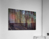 Hazzard Woods Acrylic Print