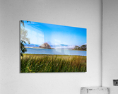 Estuary Rock Acrylic Print