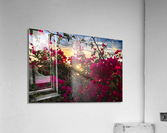Boug sunset1 Acrylic Print