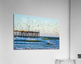 Seabird Pier Acrylic Print
