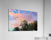 Palm Sunset Acrylic Print