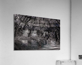 Road to Nowhere Acrylic Print