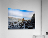 Reef Wreckage Acrylic Print