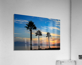 Tree Amigos Acrylic Print