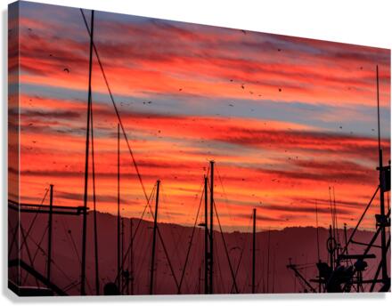 Harbor Sunrise Canvas Print