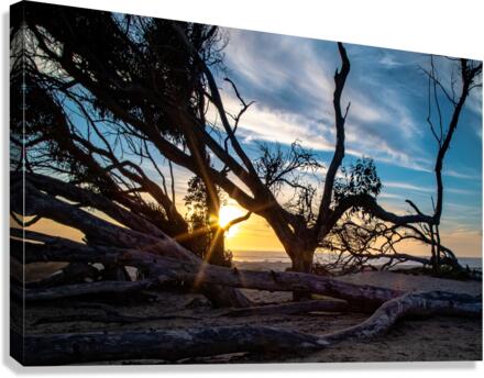 A Break in the wind Canvas Print