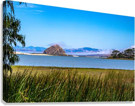 Estuary Rock Canvas Print