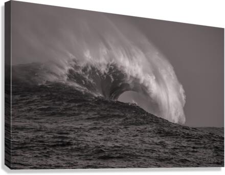 Mavs B W Seq 3 Canvas Print