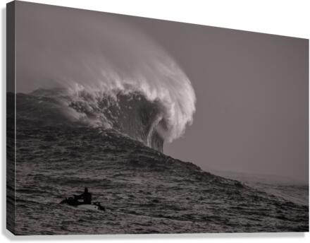 Mavs B W Seq 1 Canvas Print
