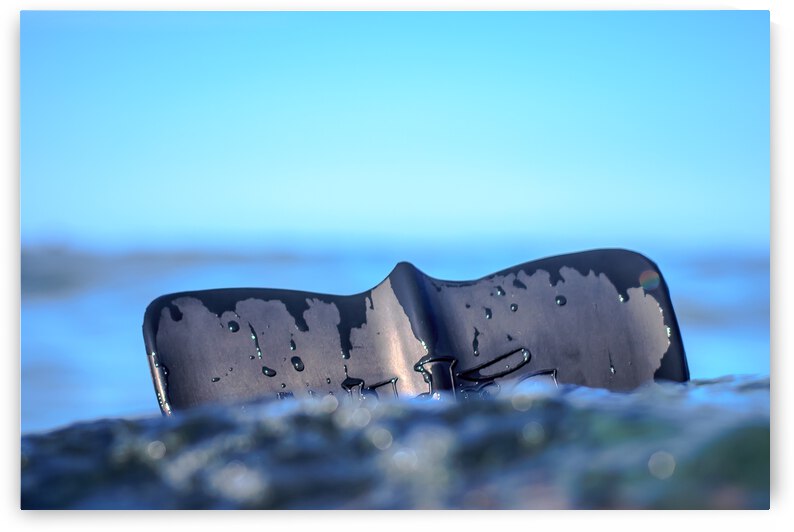 Fin by RunAmuck Photography
