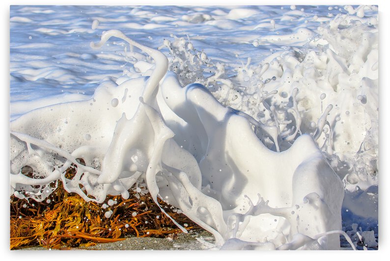 Froth by RunAmuck Photography