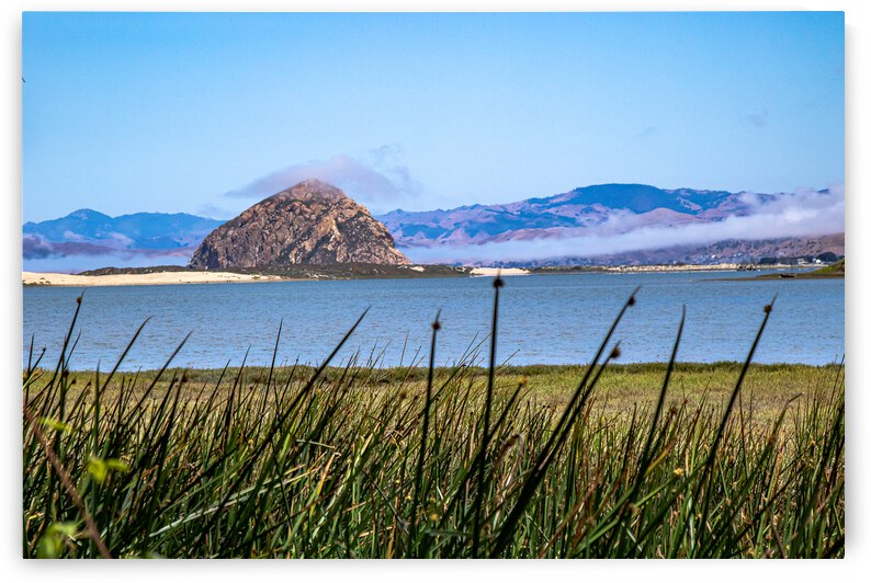 Grassy Rock by RunAmuck Photography