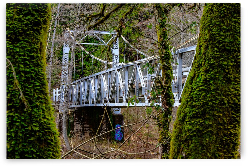 Hidden Bridge by RunAmuck Photography