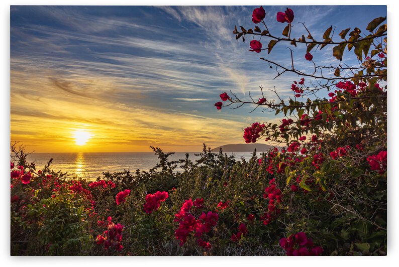 Boug sunset2 by RunAmuck Photography