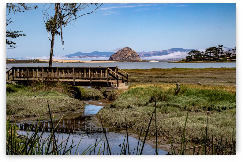 Elfin Bridge by RunAmuck Photography