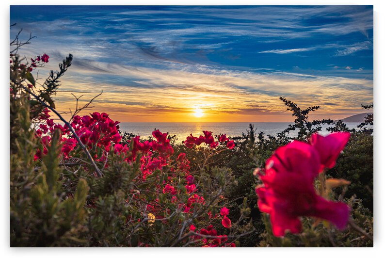 Boug Sunset4 by RunAmuck Photography