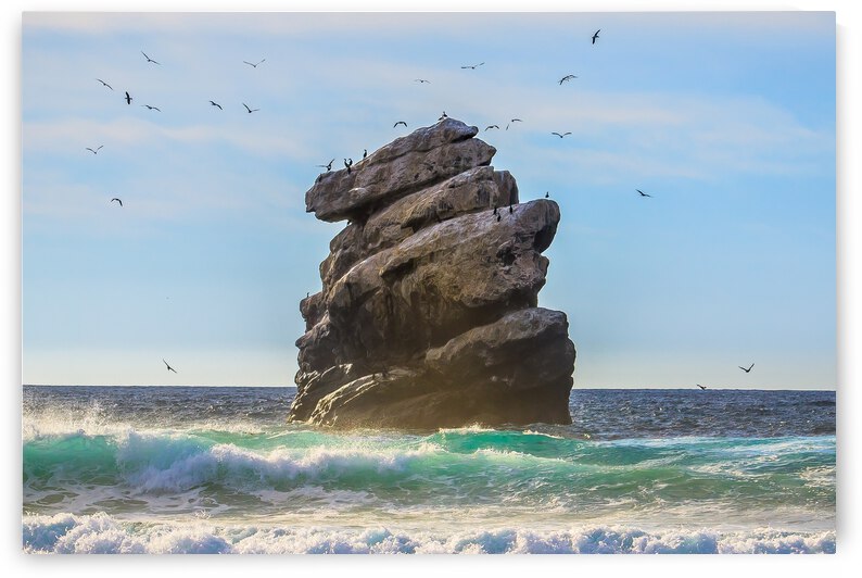 Bird Rock by RunAmuck Photography